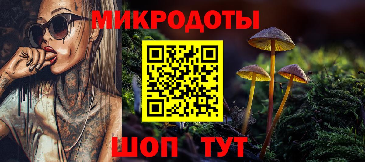 Кизляр  Галлюциногенные грибы MAGIC MUSHROOMS  Вход с VPN  Псилоцибиновые грибы Psilocybine cubensis 